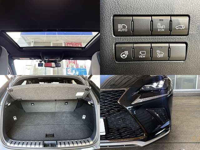 TOYOTA LEXUS NX300H 2020 Image 31