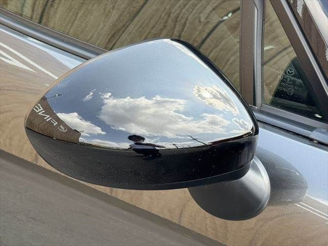 MAZDA ROADSTER 2024 Image 31