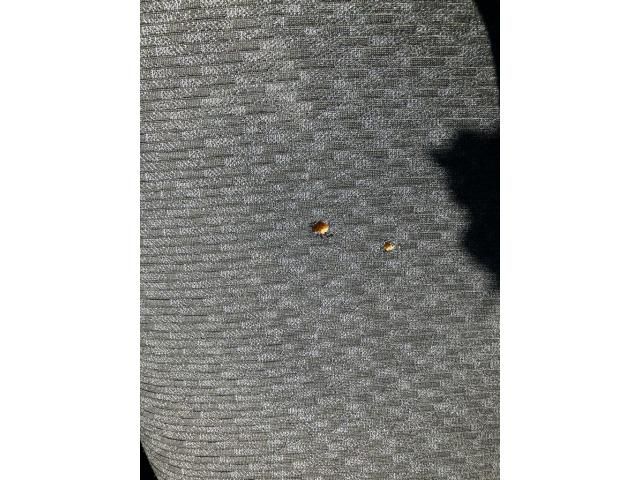 TOYOTA SIENTA 2012 Image 31