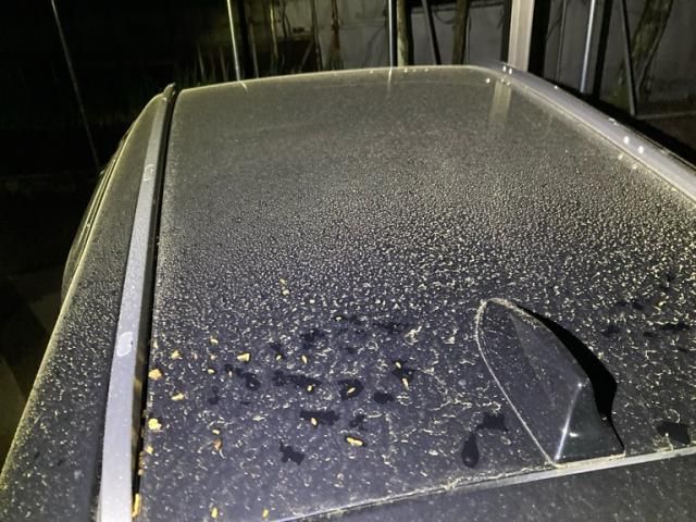 HONDA SHUTTLE HYBRID 2015 Image 31