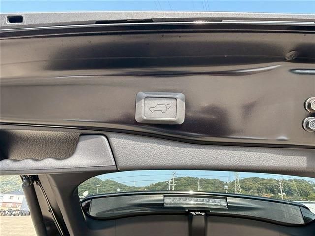 TOYOTA RAV4 HYBRID 4WD 2024 Image 31